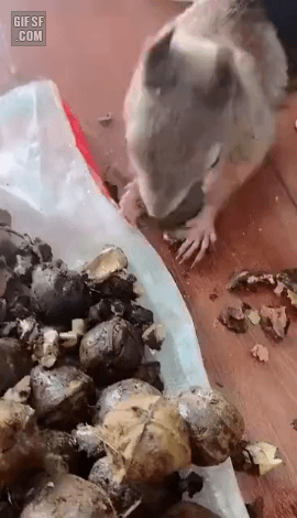 밤 쉽게 까는법