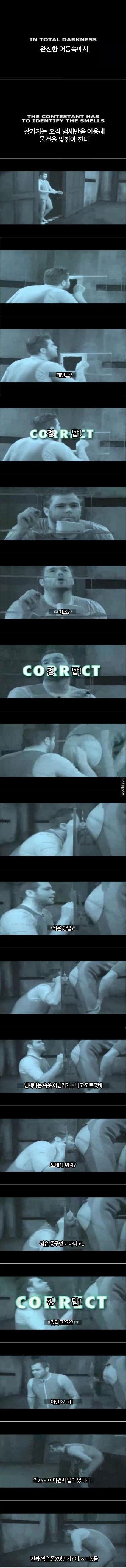 네덜란드 성인예능