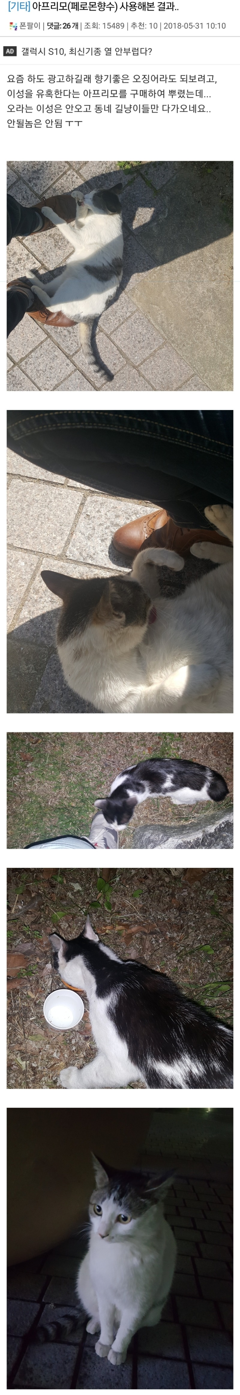 유튜브 광고하는 페로몬 향수