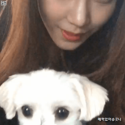 혼자 사는 최희 아나운서 외로운가 보다...