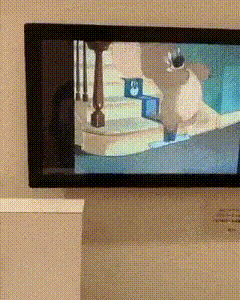 톰과 제리 박물관