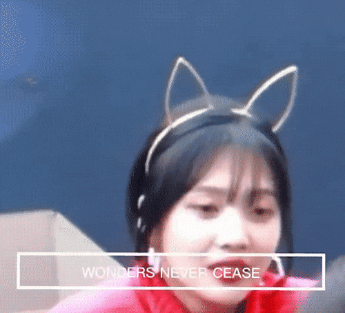 팬한테 농락당하는 조이