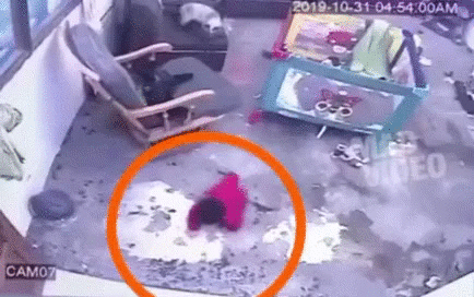 아기 구한 고양이