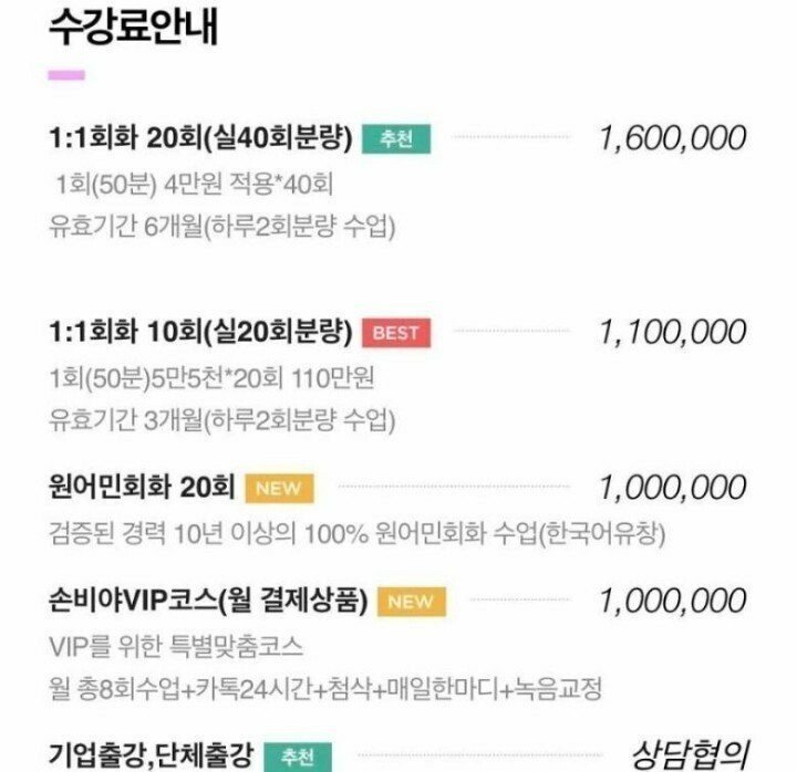 중국어 강사 누나.. 강의료..