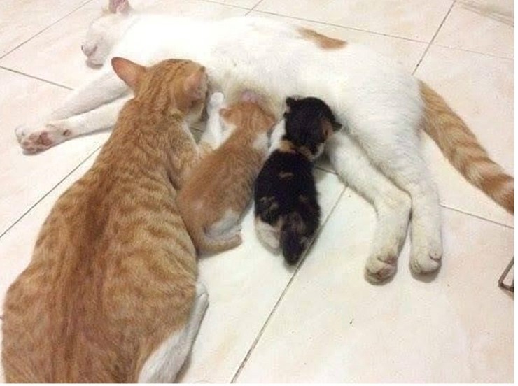 철없는 아부지