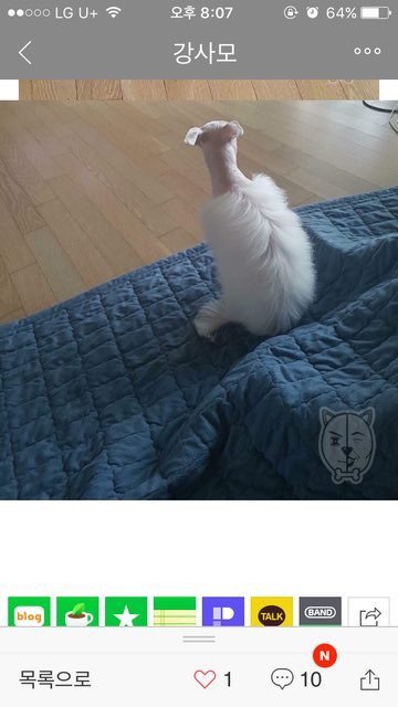 실패한 애경미용