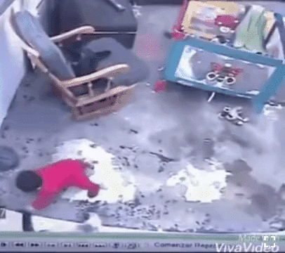 아기 구한 고양이