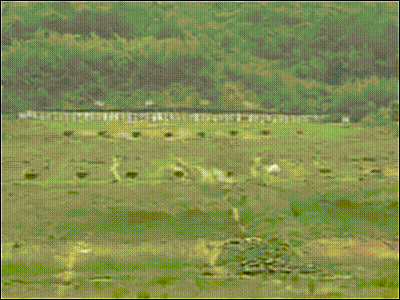 사격 훈련중 연사로 당겨버렸다