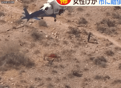 구조헬기로 구조된 여자가 고소함 ㄷㄷ