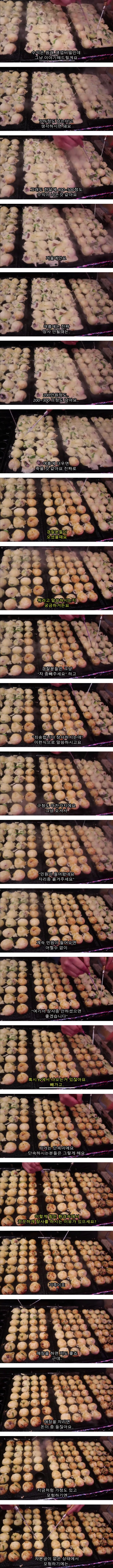 타코야키 트럭은 한달에 얼마를 벌까?