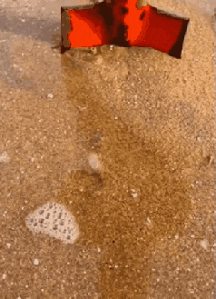 해변가.. 보물찾기..