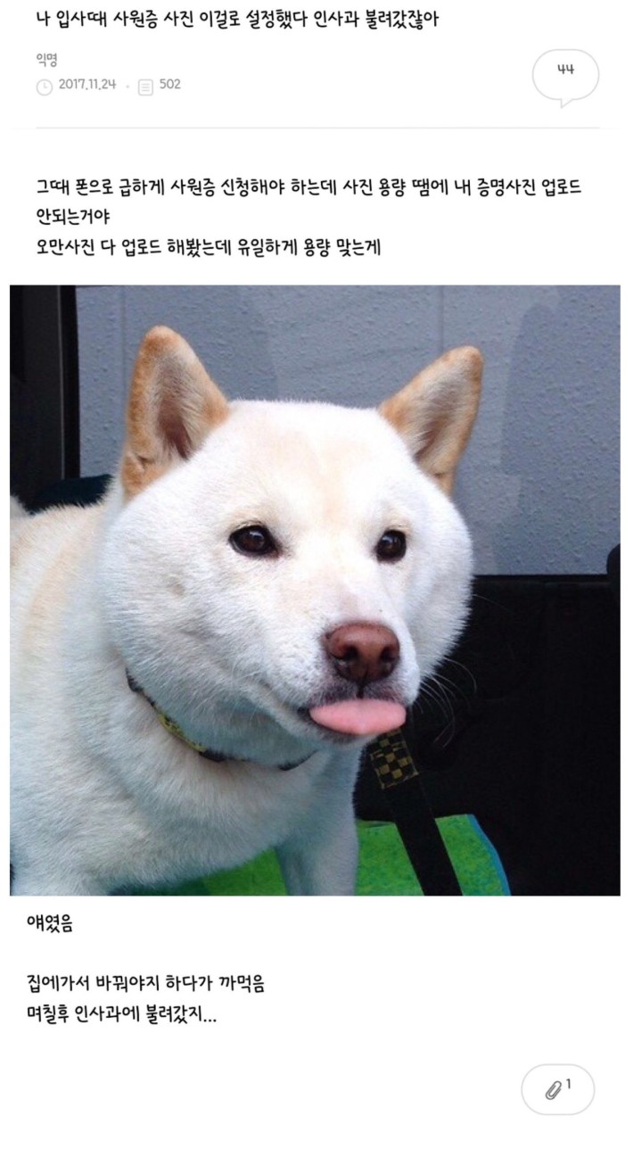 신입사원이 인사과로 끌려간 이유