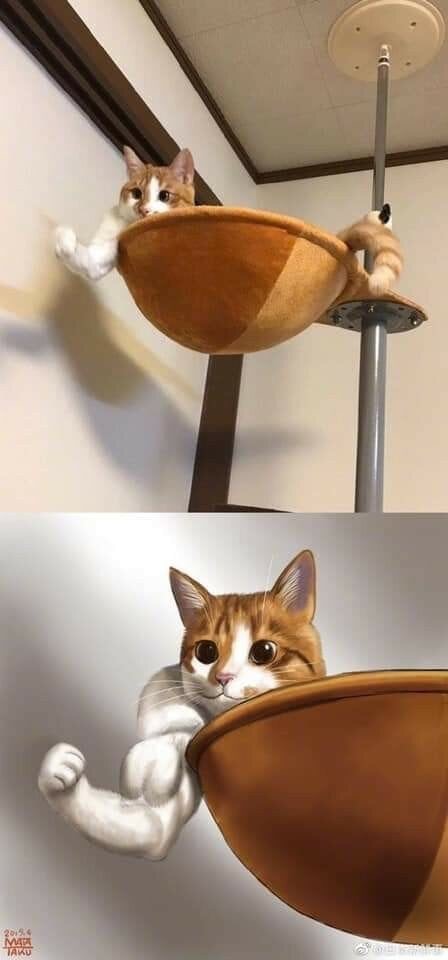 기본이 3대 500인