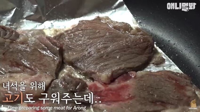 친구를 잃고 입맛을 잃어버린 댕댕이