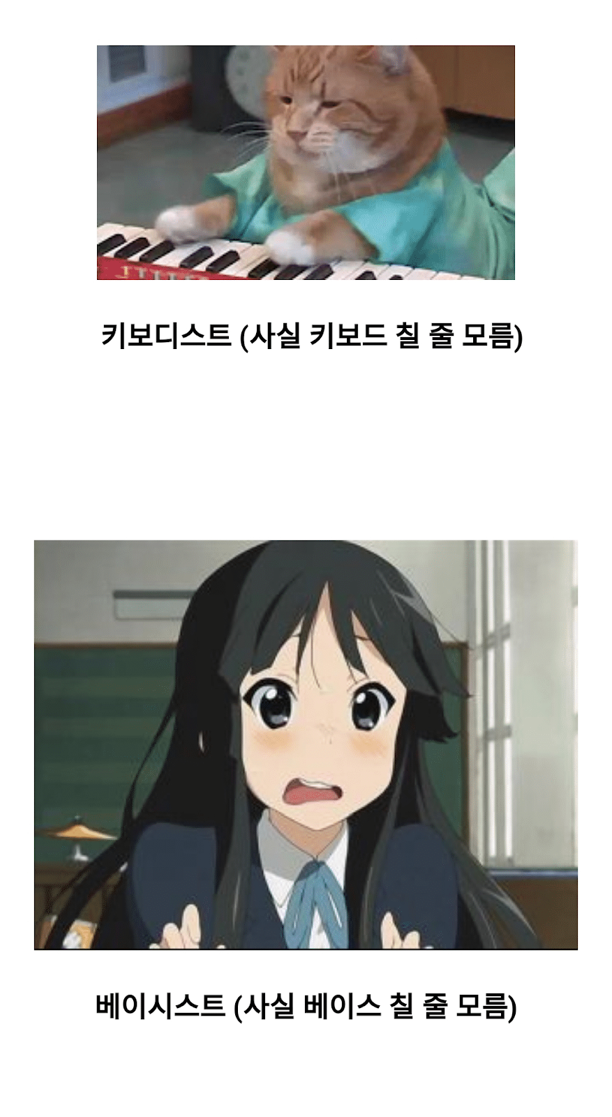 인터넷 악플러 주작충의 최후