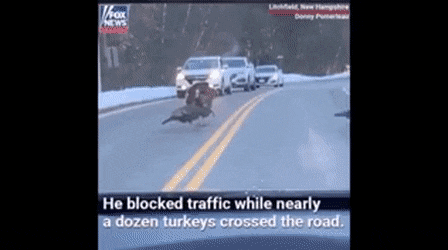 이것이.. 리더..