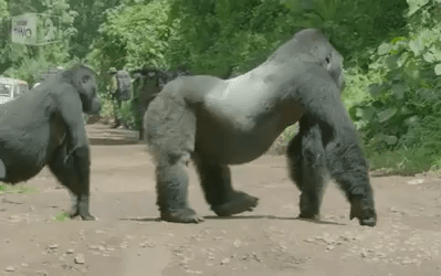 이것이.. 리더..