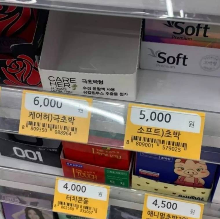 비싸도 인기 좋은 극초박