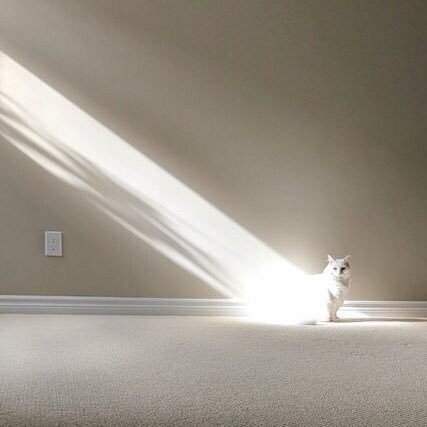 극 사실주의 화가