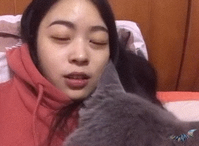 여주인의 입냄새를 맡은 냥이 반응