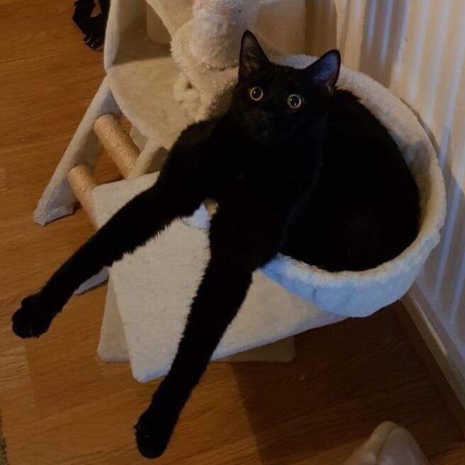 극 사실주의 화가