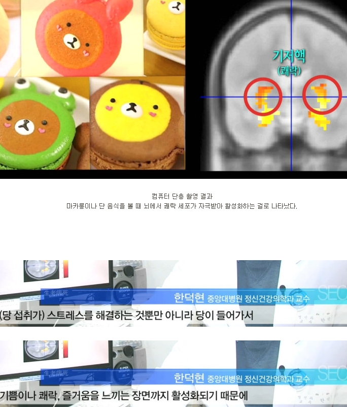 마카롱에 빠진 24살 여성의 몸상태