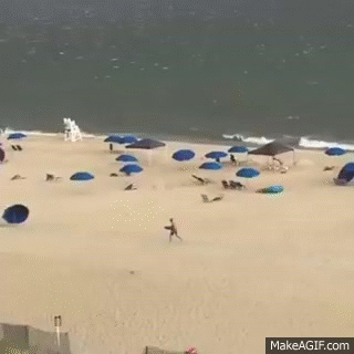 제철을 맞아 싱싱하게 펄떡펄떡 뛰는 파라솔을 사냥하는 모습