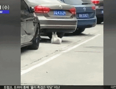 헬창...