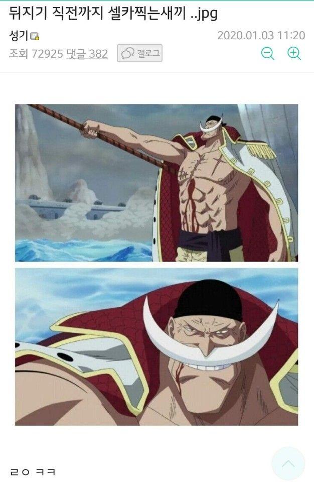 뒤지기 직전까지 셀카찍는 새뀌.jpg