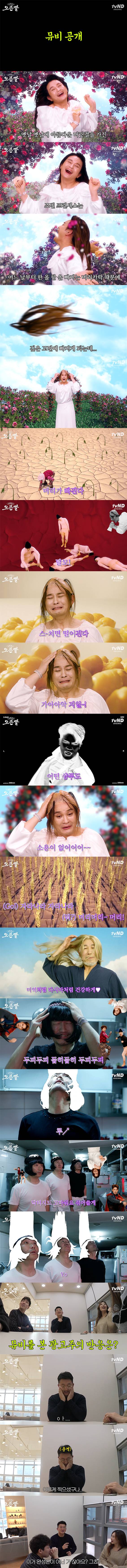 노라조 샴푸 광고 근황