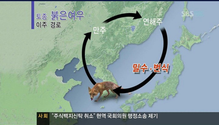 대한민국 어둠의 장인 2명