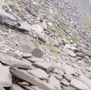 에베레스트에서 뜬금  사망하는 이유