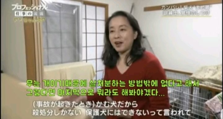사람을 무는 개도 교정할 수 있다