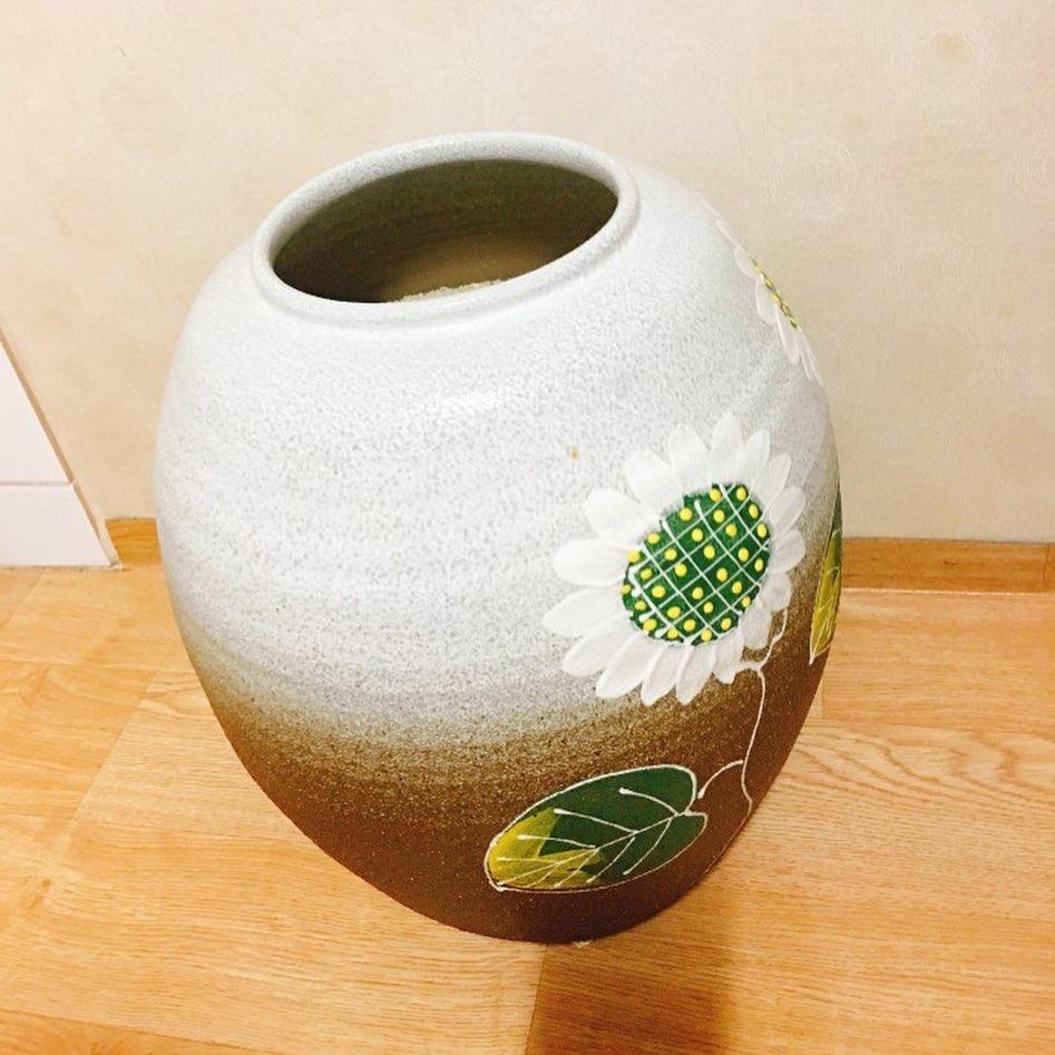 잃어버린 고양이를 찾음