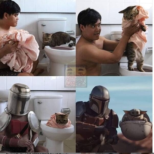 저가 코스프레