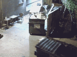 말이 필요없는 불곰국(1)