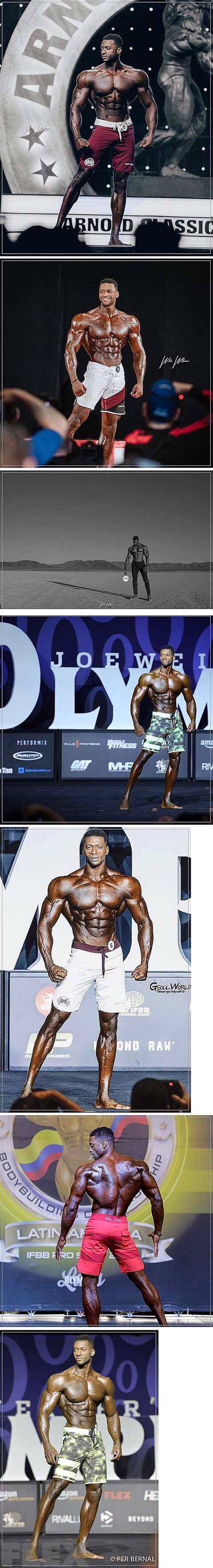 피트니스대회 1위 몸매 ㅎㄷㄷ