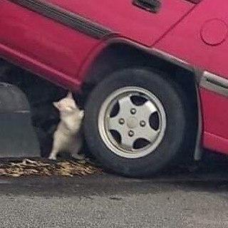 어떤 새끼가 여기다 주차했어?