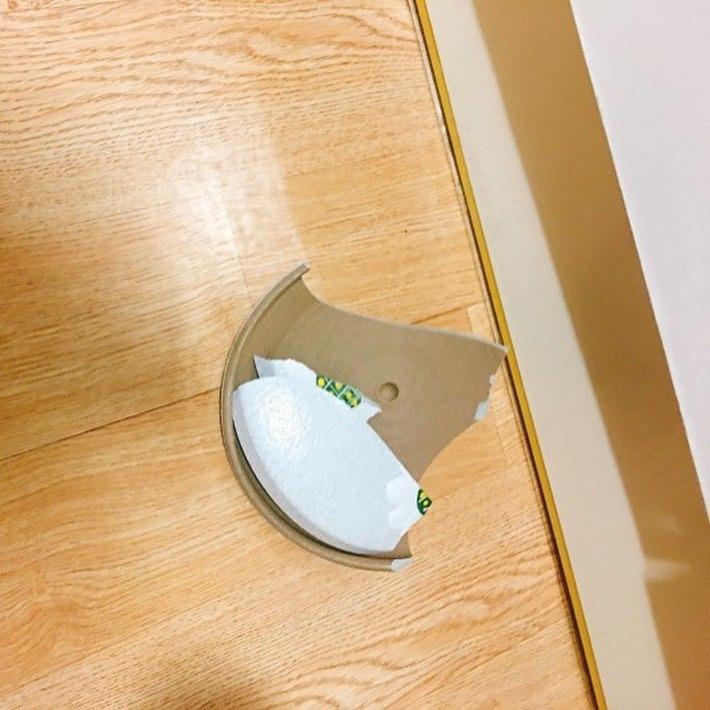 잃어버린 고양이를 찾음