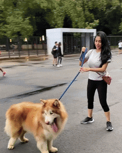 개가 참 크네요