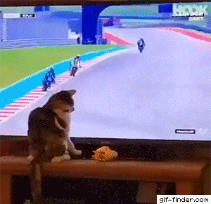 언니 저 마음에 안들죠?